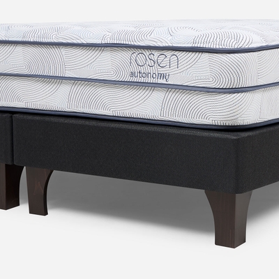Cama Autonomy Sky Base Grafito 2 Plazas