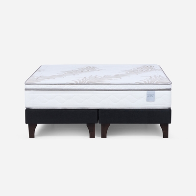 Cama Europea Neo Plus 2 Plazas 150 x 200 cm
